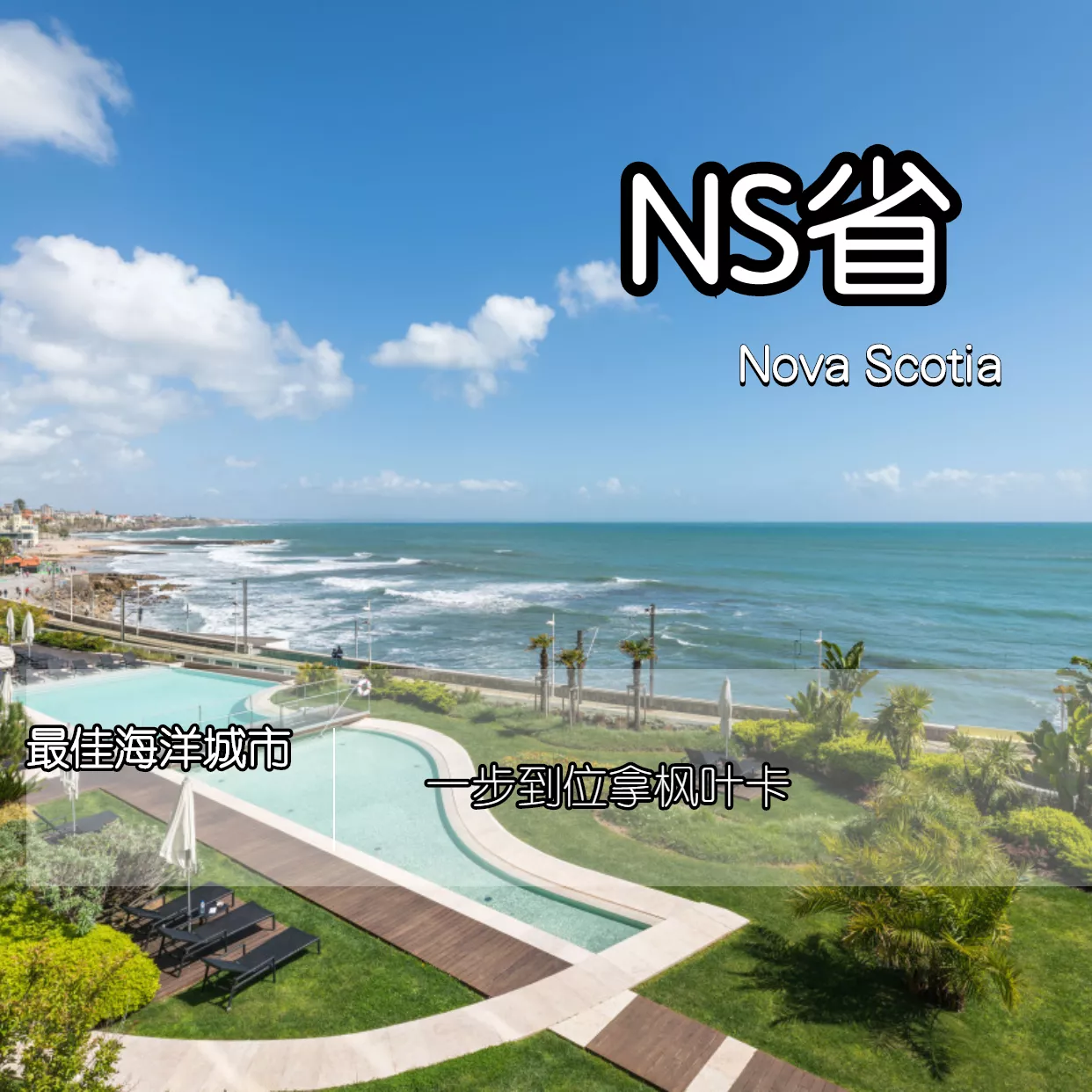 NS省移民项目（推荐指数：★★★）